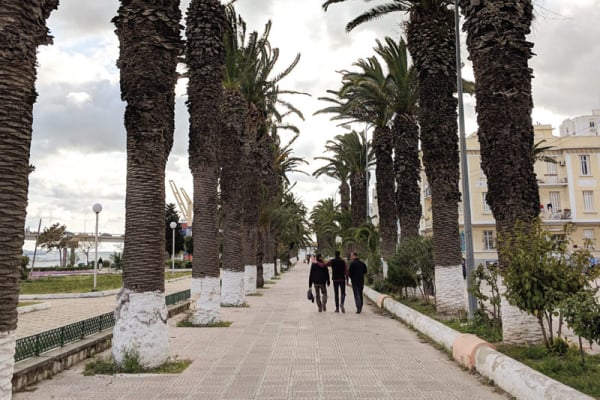 Musa in North Africa